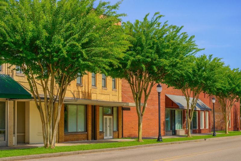 Local Building Raising in Chipley, FL