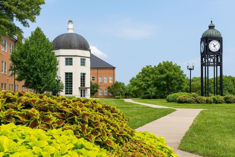 Local Crawlspace Foundation Repair in O Fallon, MO
