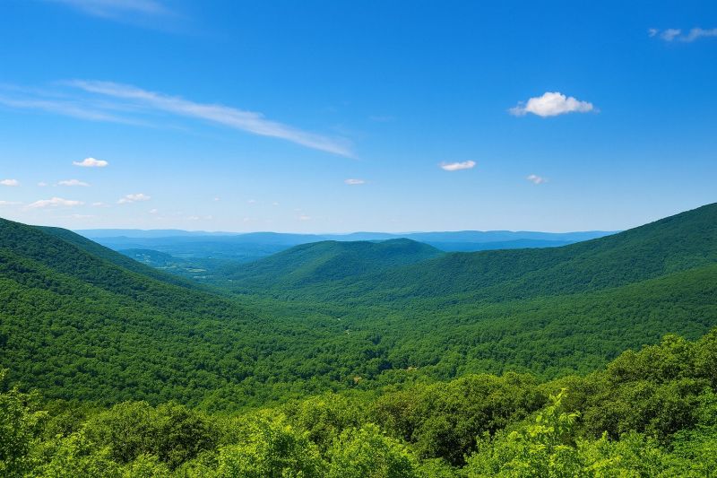Local Crawlspace Foundation Repair in Forest, VA