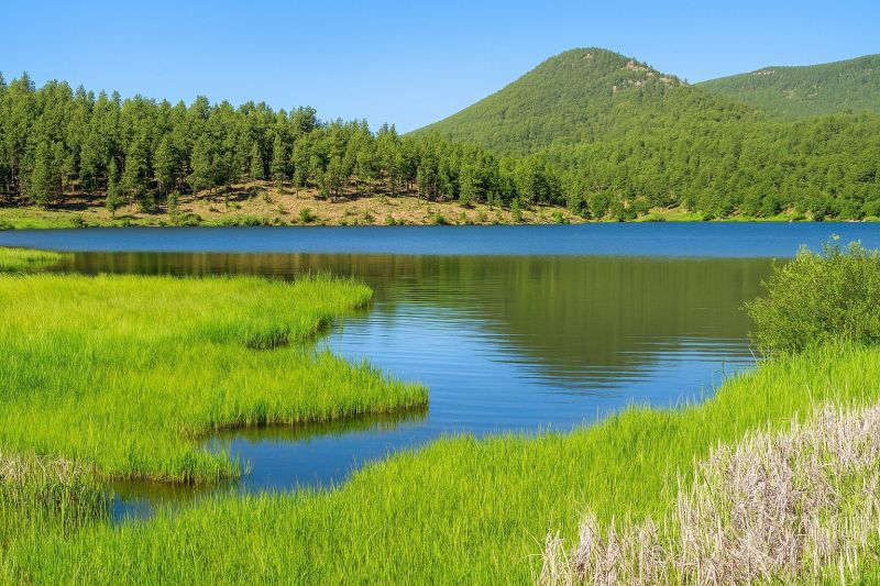 Local Crawlspace Foundation Repair in Evergreen, CO