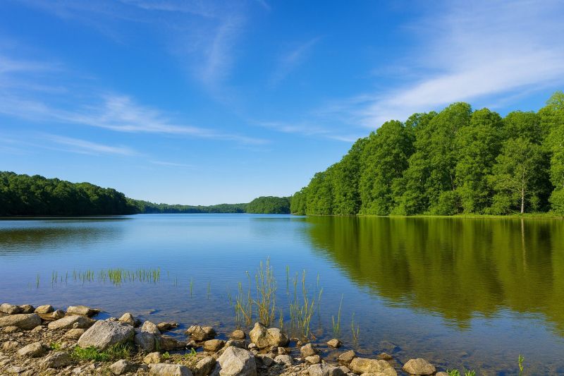 Local Foundation Jacking in Burke, VA