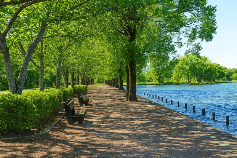 Local Foundation Stabilizing in High Ridge, MO
