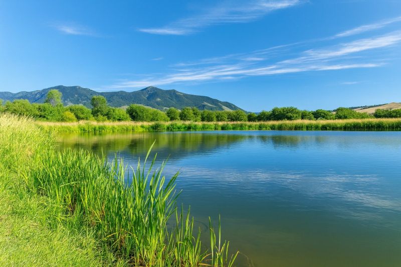 Local Home Foundation Repair in Belgrade, MT