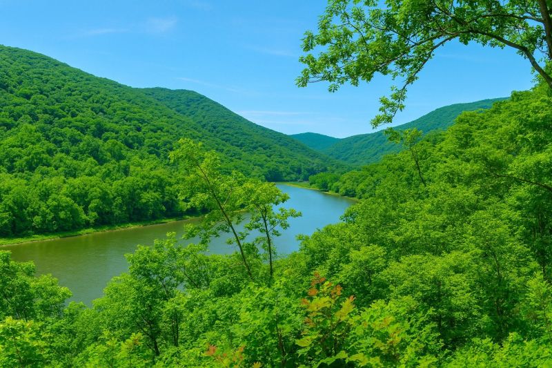 Local House Foundation Repair in Bluefield, WV