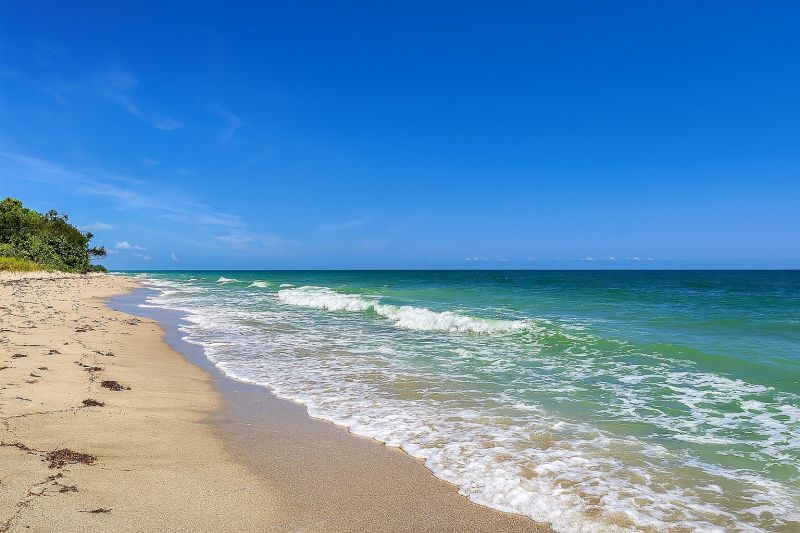 Local Piling Repair in Dunedin, FL