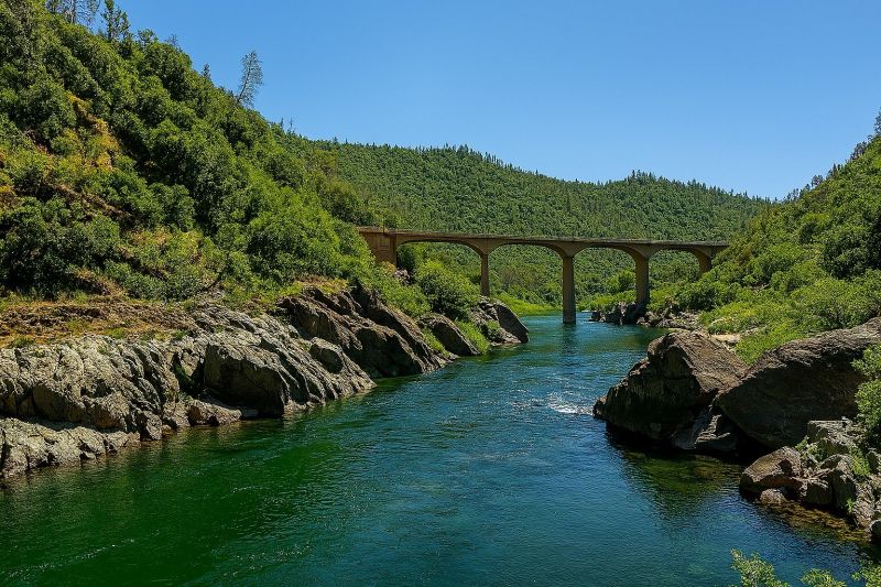 Local Piling Repair in Auburn, CA