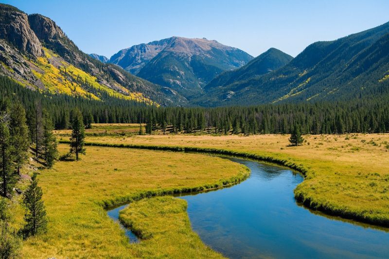 Local Piling Repair in Craig, CO