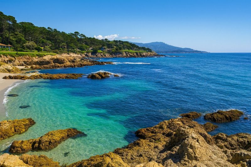 Local Piling Repair in Carmel, CA