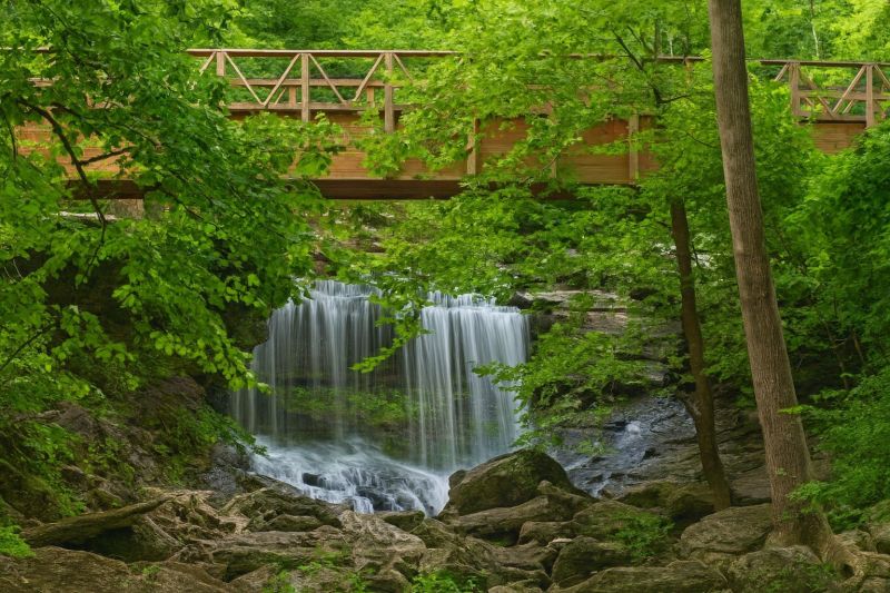 Local Piling Repair in Bella Vista, AR