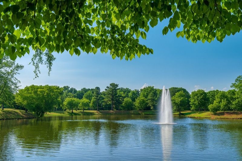 Local Piling Repair in Fairview, NC