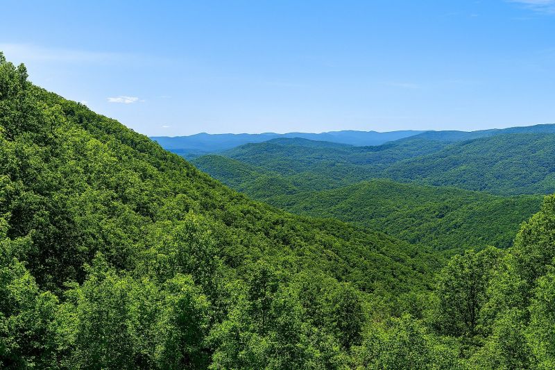 Local Piling Repair in Ellijay, GA
