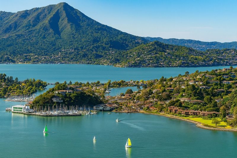 Local Piling Repair in Belvedere Tiburon, CA