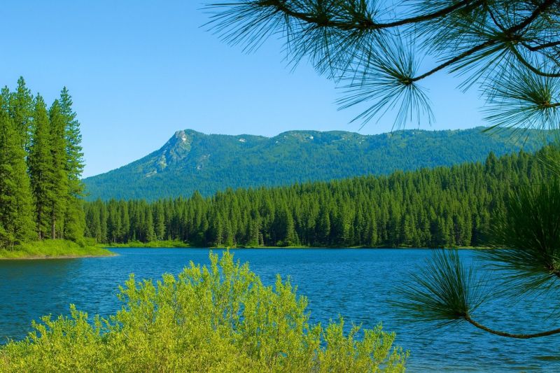 Local Structural Foundation Repair in Antelope, CA